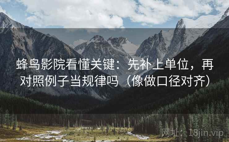 蜂鸟影院看懂关键：先补上单位，再对照例子当规律吗（像做口径对齐）