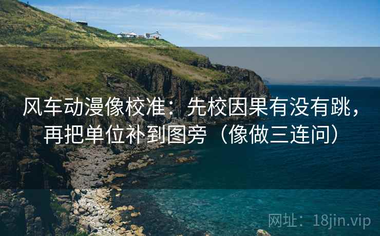 风车动漫像校准：先校因果有没有跳，再把单位补到图旁（像做三连问）