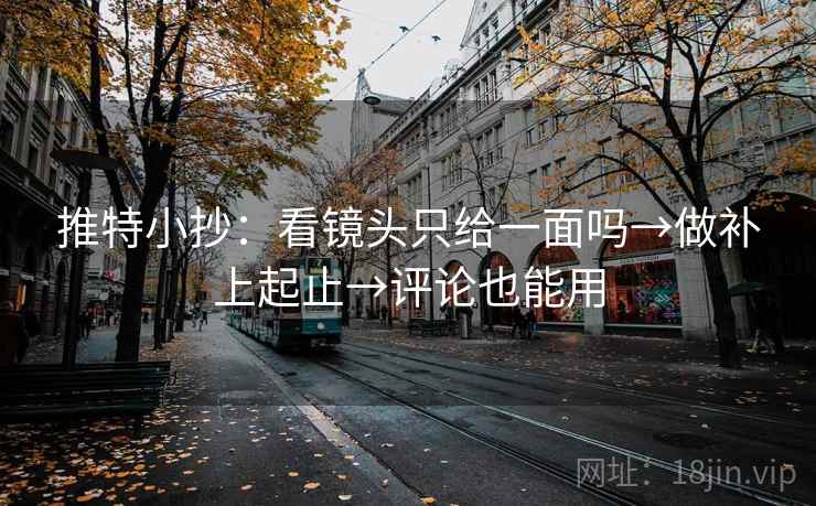 推特小抄：看镜头只给一面吗→做补上起止→评论也能用