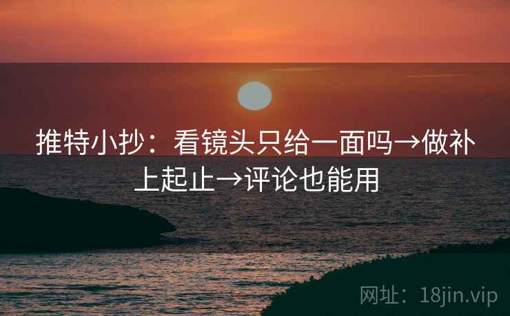 推特小抄：看镜头只给一面吗→做补上起止→评论也能用